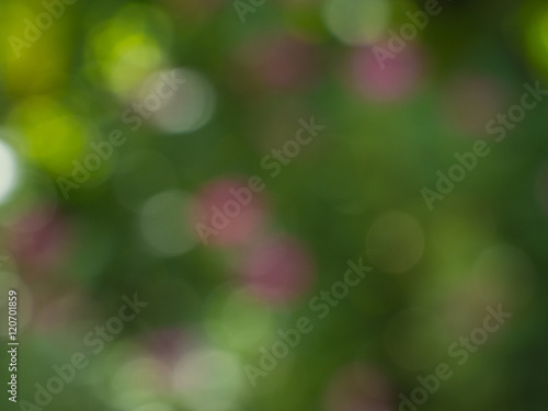  blur nature  background