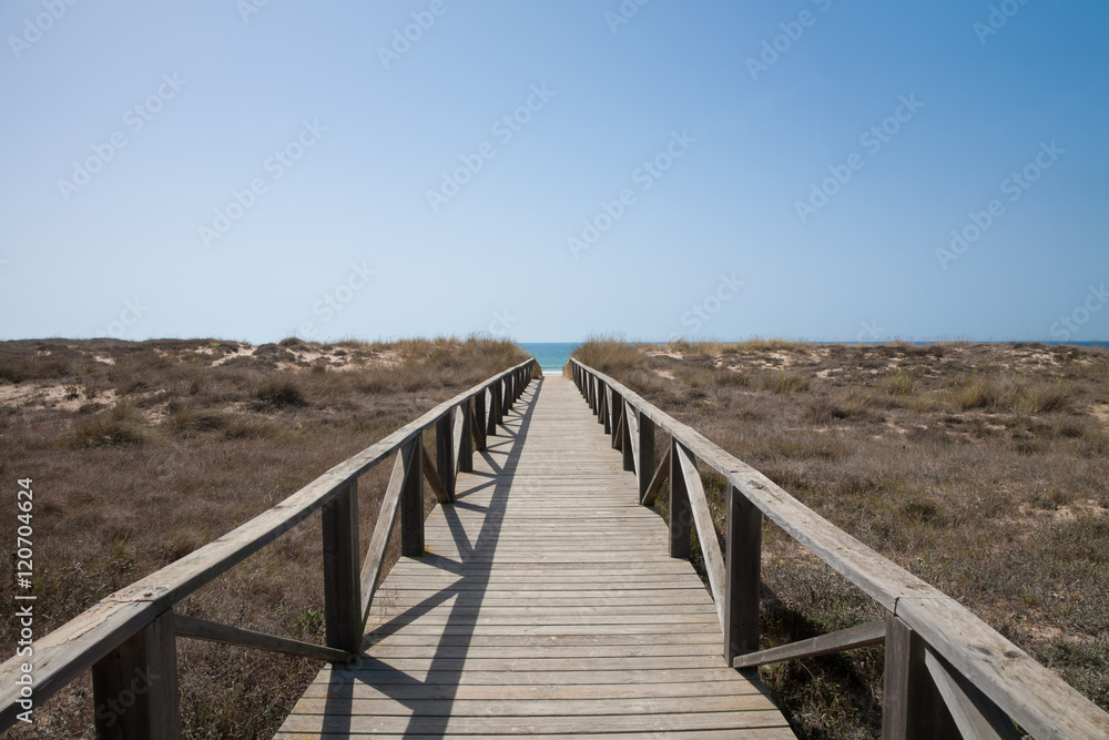 wooden path to ocean horizontal