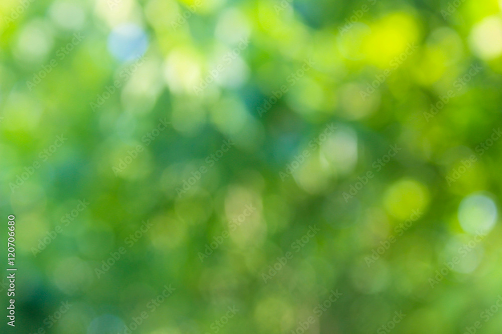 Green blurred background Green blurred background
