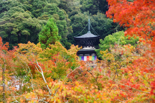 Eikando pagoda with fall color, Kyoto