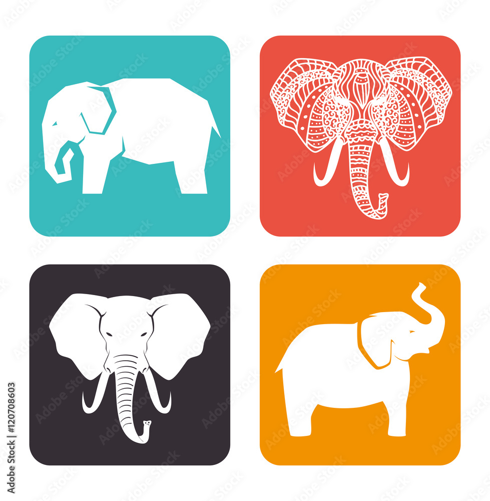 icon elephant design isolated vector illustration eps 10 icon elephant design isolated vector illustration eps 10