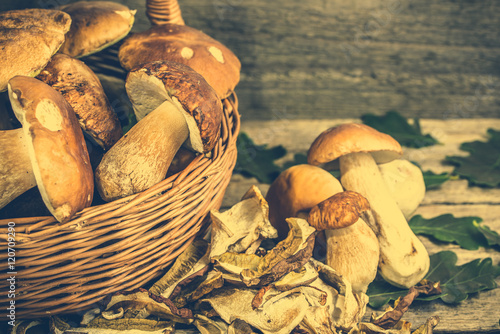Dry mushrooms and fresh boletus mushroom in a basket on rustic w