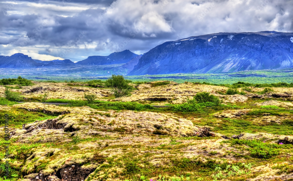 Naklejka premium Thingvellir National Park, a UNESCO World Heritage Site - Iceland
