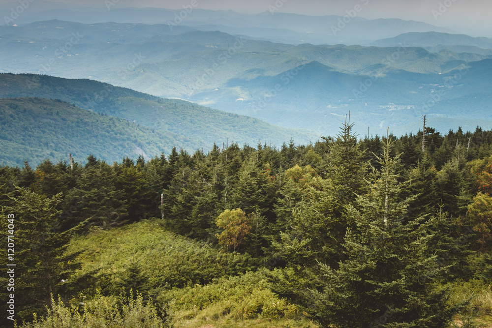 Obraz premium Mountain Landscape