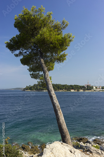 Beautiful sea view near a city Rovinj