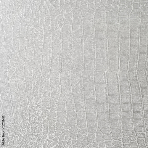 Cocodrile skin texture