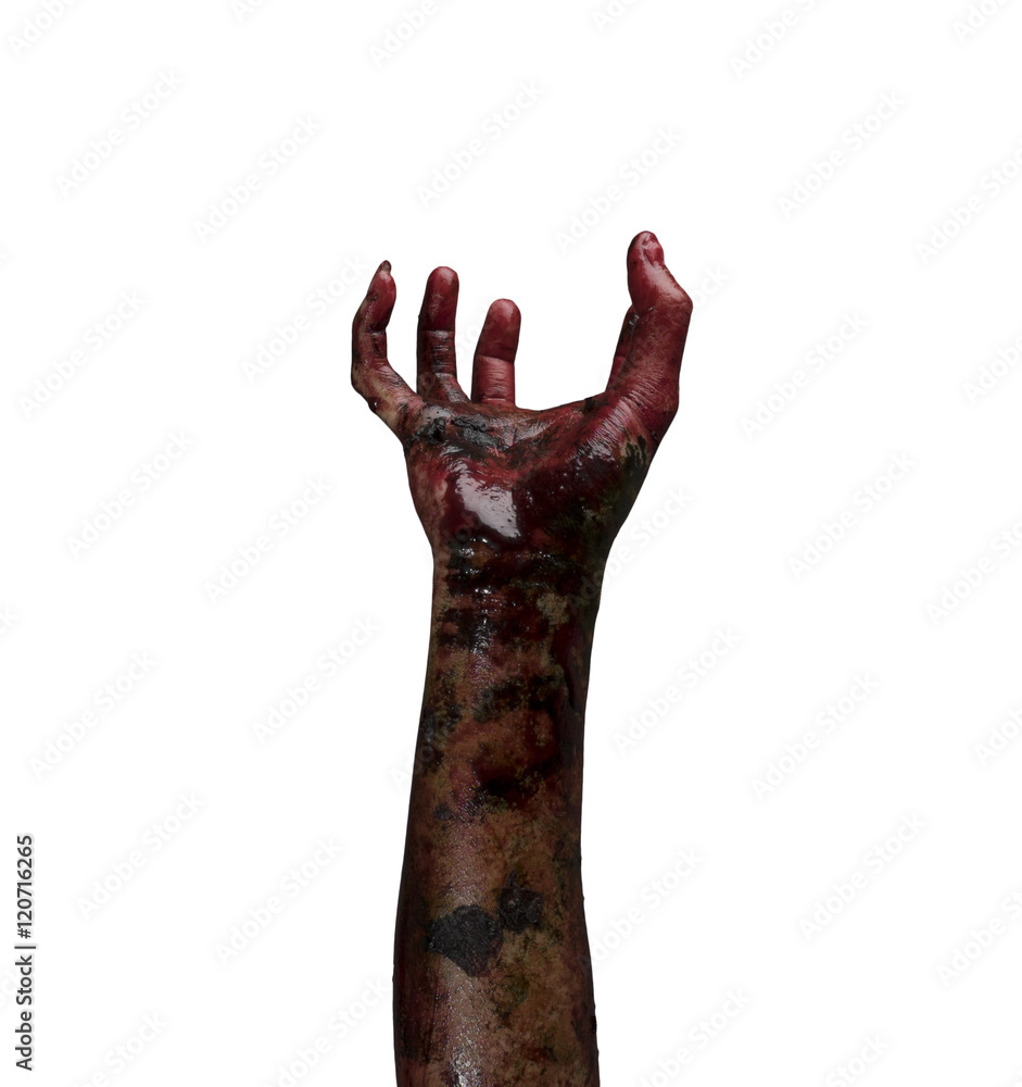 Fototapeta premium Blood zombie hands, zombie theme, halloween theme