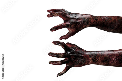 Obraz na plátně Blood  zombie hands,  zombie theme, halloween theme