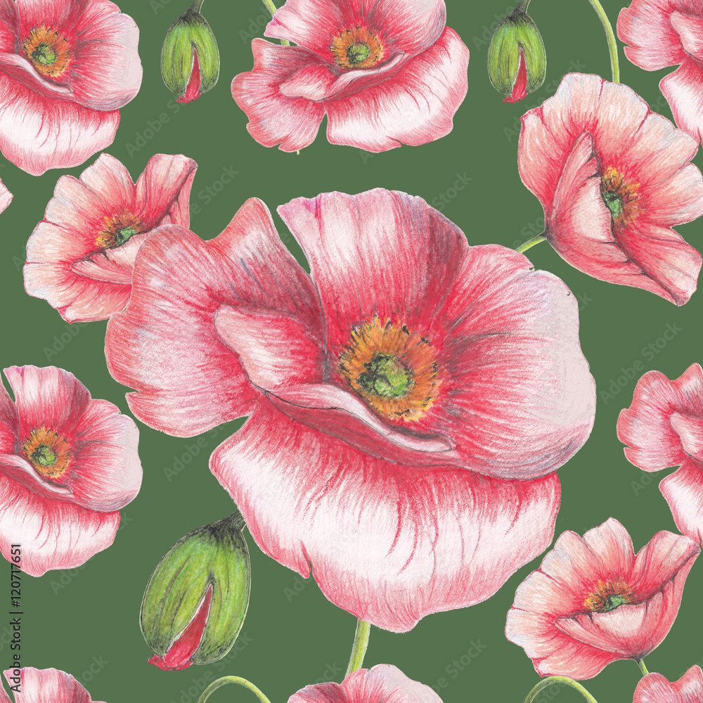 Seamless pattern of hand drawn poppies