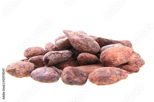 cocoa beans isolated