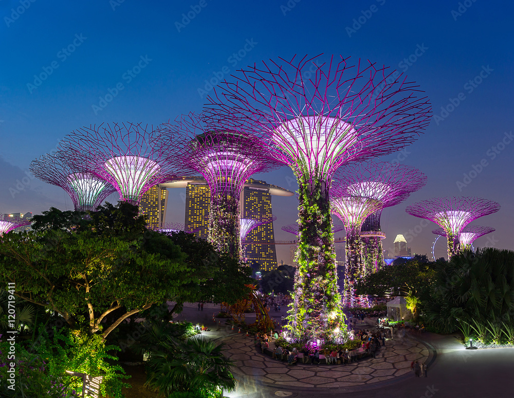 Obraz premium SINGAPUR - 28 sierpnia 2016: Supertrees at Gardens by the Bay.