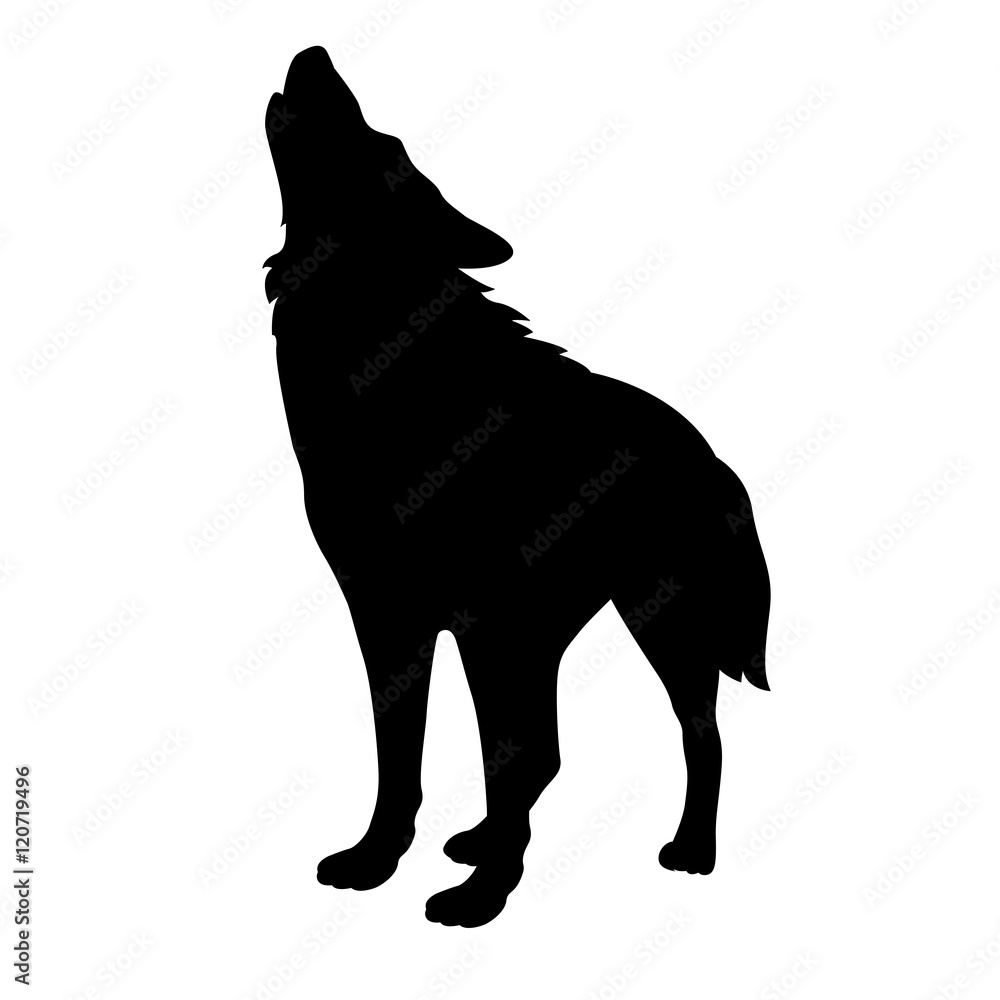 Naklejka premium dorosły wilk wektor ilustracja czarna sylwetka