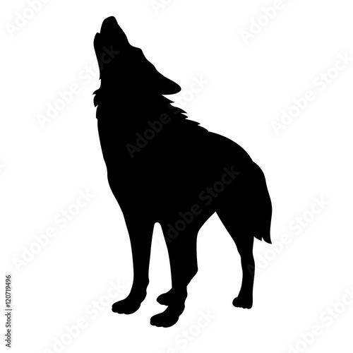 adult wolf vector illustration black silhouette