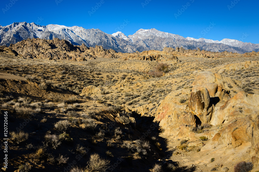 Obraz premium Sequoia National Park