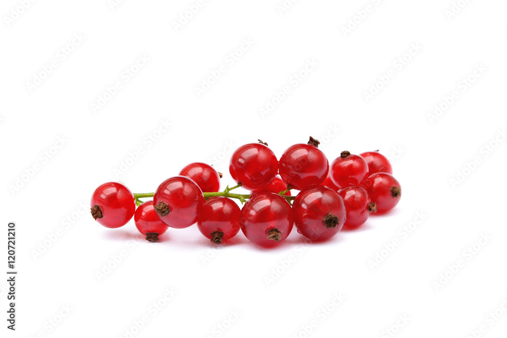 Fresh red currant isolated on white background Fresh red currant isolated on white background