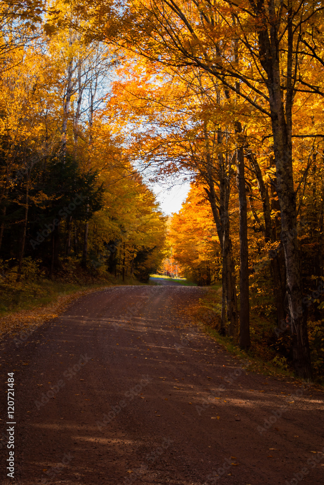 Fototapeta premium Piękno jesieni