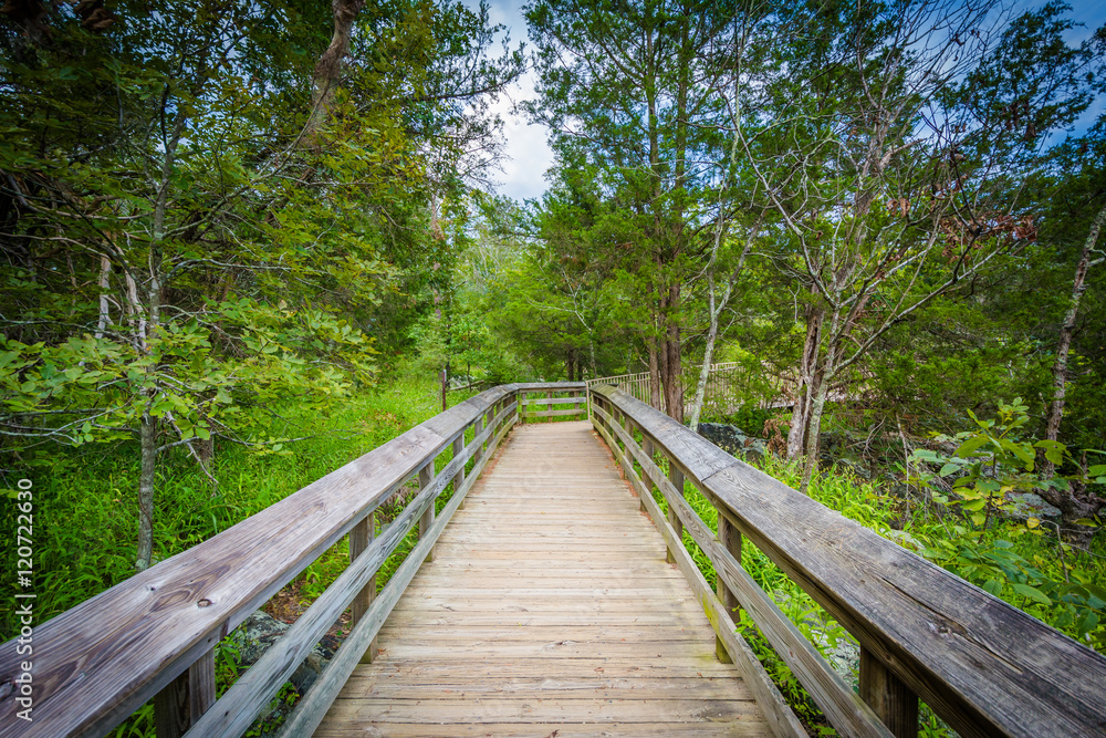 Boardwalk trail on Olmsted Island at Great Falls, Chesapeake & O Boardwalk trail on Olmsted Island at Great Falls, Chesapeake & O