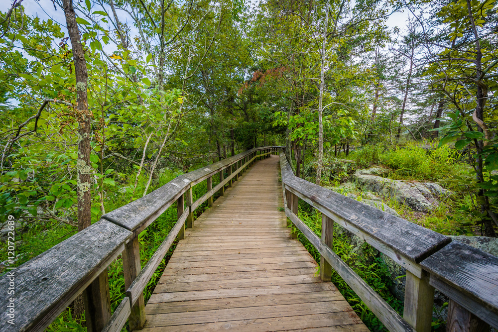 Boardwalk trail on Olmsted Island at Great Falls, Chesapeake & O