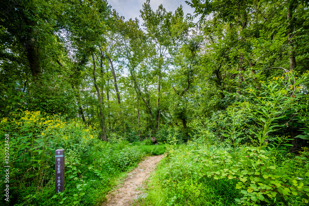 The River Trail at Great Falls, at Chesapeake & Ohio Canal Natio The River Trail at Great Falls, at Chesapeake & Ohio Canal Natio