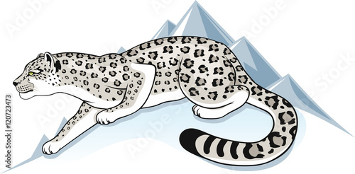 snow leopard on a background mountain peaks
