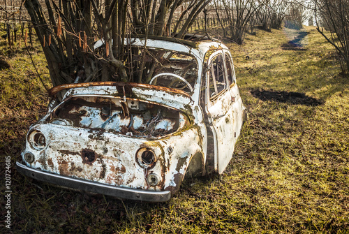 macchina incastrata in un noccioleto