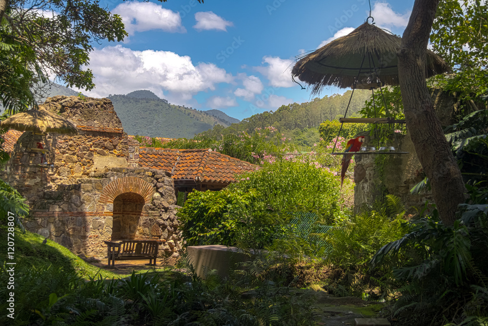Obraz premium Macaw in colonial convent ruins with mountains