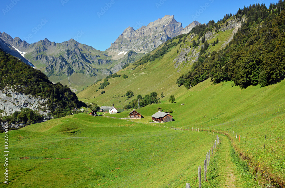 Alp Waldnacht am Surenenpass, Kanton Uri