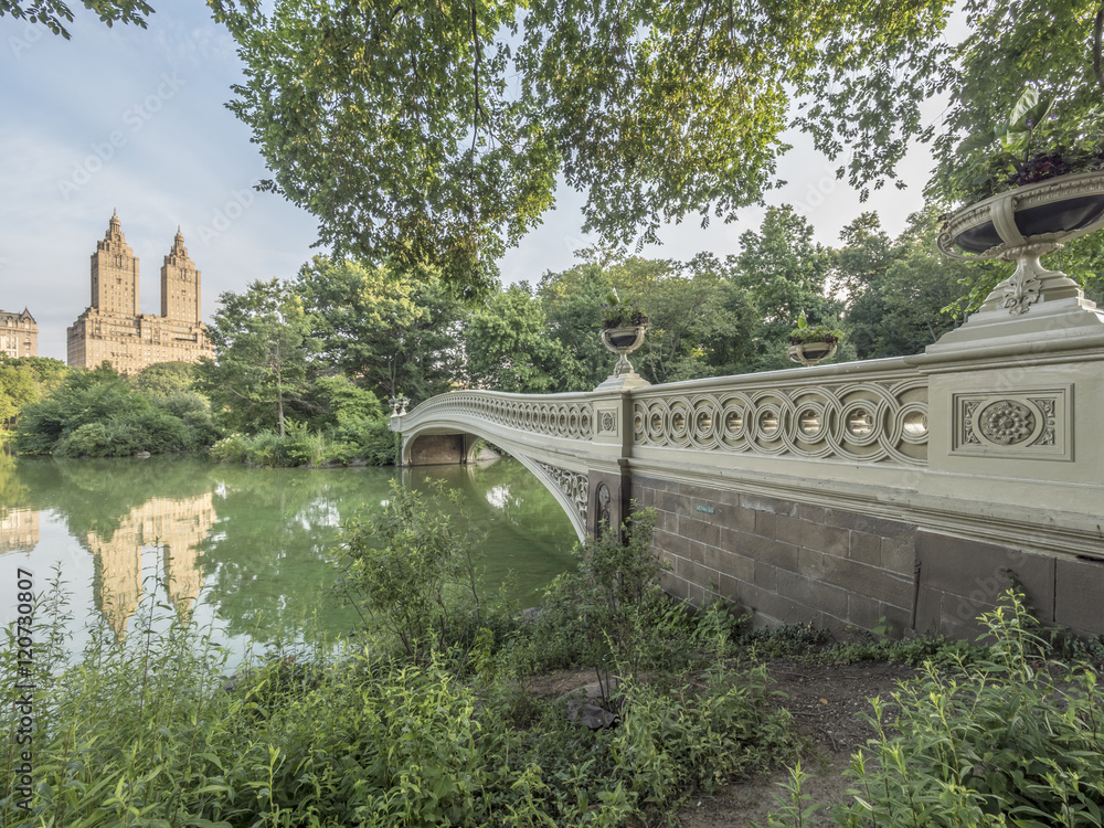 Naklejka premium Bow bridge