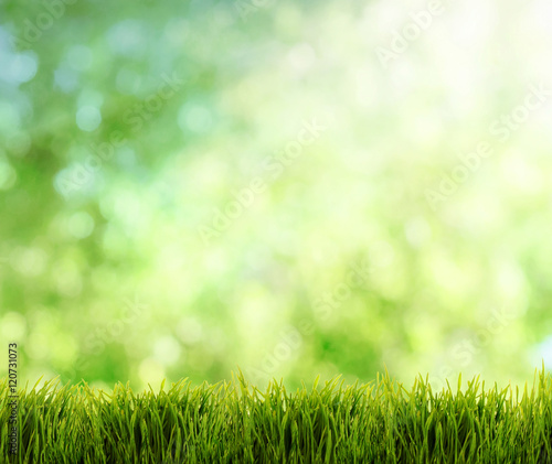 abstract summer natural background with place for your text