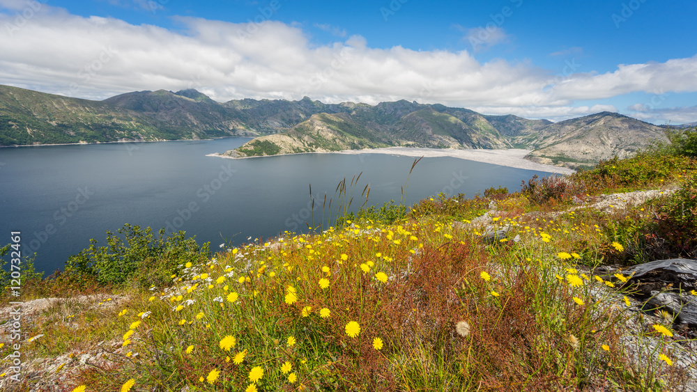 Beautiful lake in the mountains. Wildflowers growing on the shore of the lake. Mount St Helens National Park, East Part, South Cascades in Washington State, USA