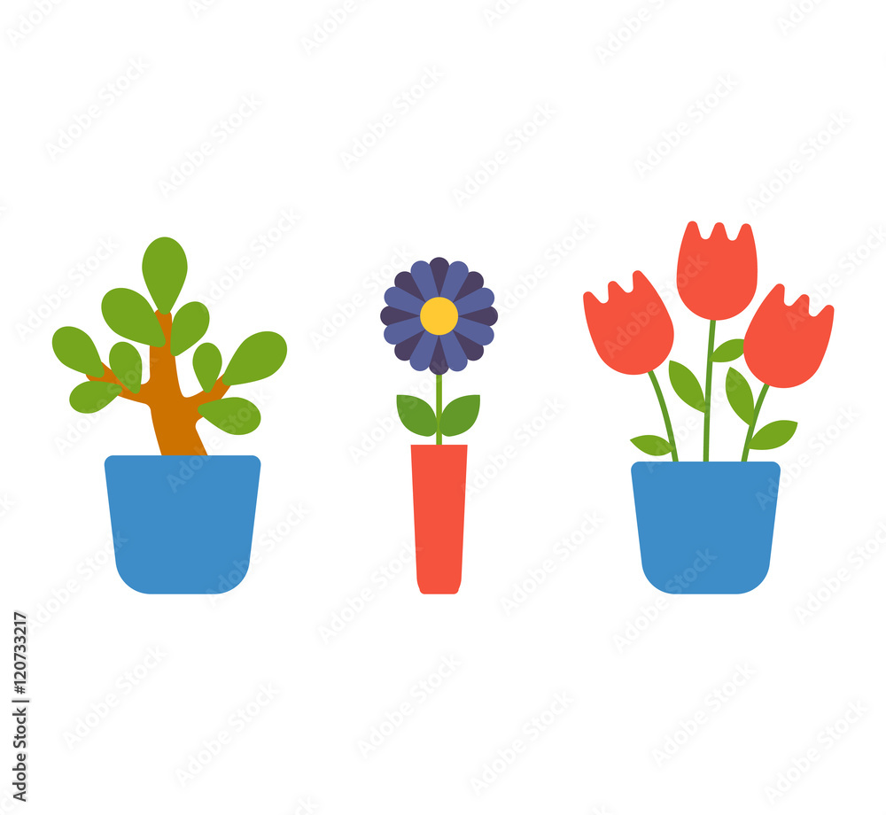 Flat pot with colorful flower. Nature home plant flower pot and spring decoration nature. Flower pot garden bloom flat vector. Spring colorful garden flowers