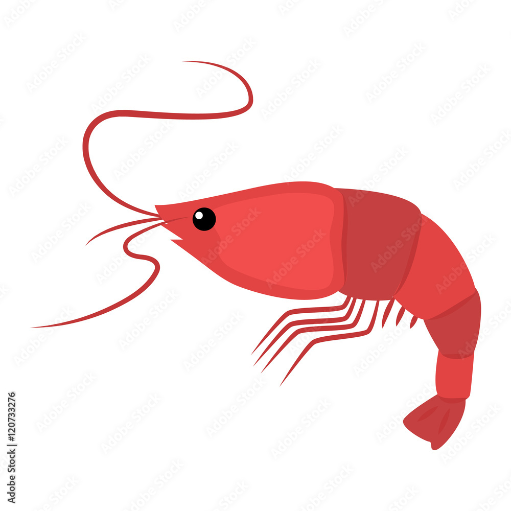 Roasted tails of shrimps dish protein nutrition. Cooked meal fresh gourmet healthy shrimp prawn shellfish vector. Crustacean cuisine appetizer snack shrimp delicious dinner ingredient. Roasted tails of shrimps dish protein nutrition. Cooked meal fresh gourmet healthy shrimp prawn shellfish vector. Crustacean cuisine appetizer snack shrimp delicious dinner ingredient.