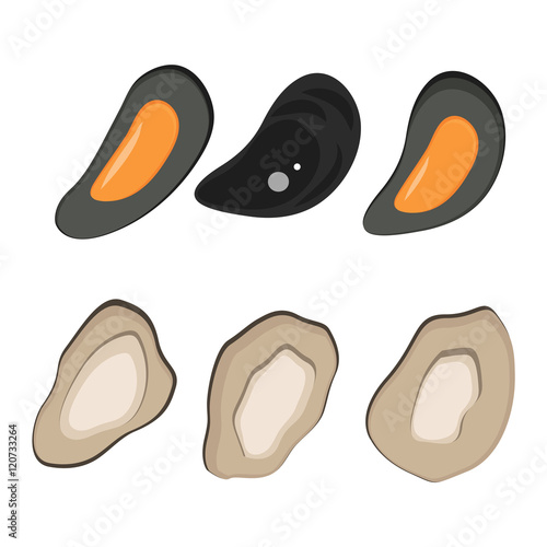 Fresh mussel gastronomy ingredient on white background. Shellfish nutrition nature food freshness mussels. Dinner cooked mussels gourmet healthy cuisine seafood gastronomy ingredient vector.