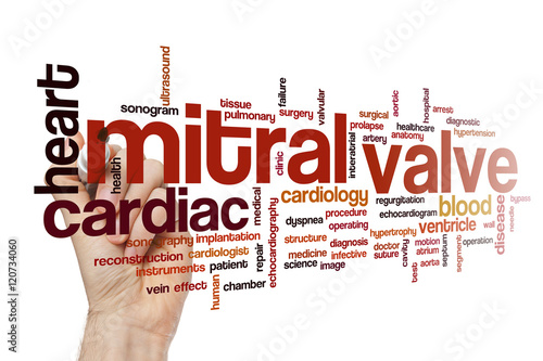 Mitral valve word cloud concept photo