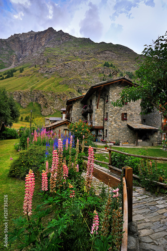 flowers with alps architecture in Rhemes Notre Dame, Valle Aosta, Italy photo