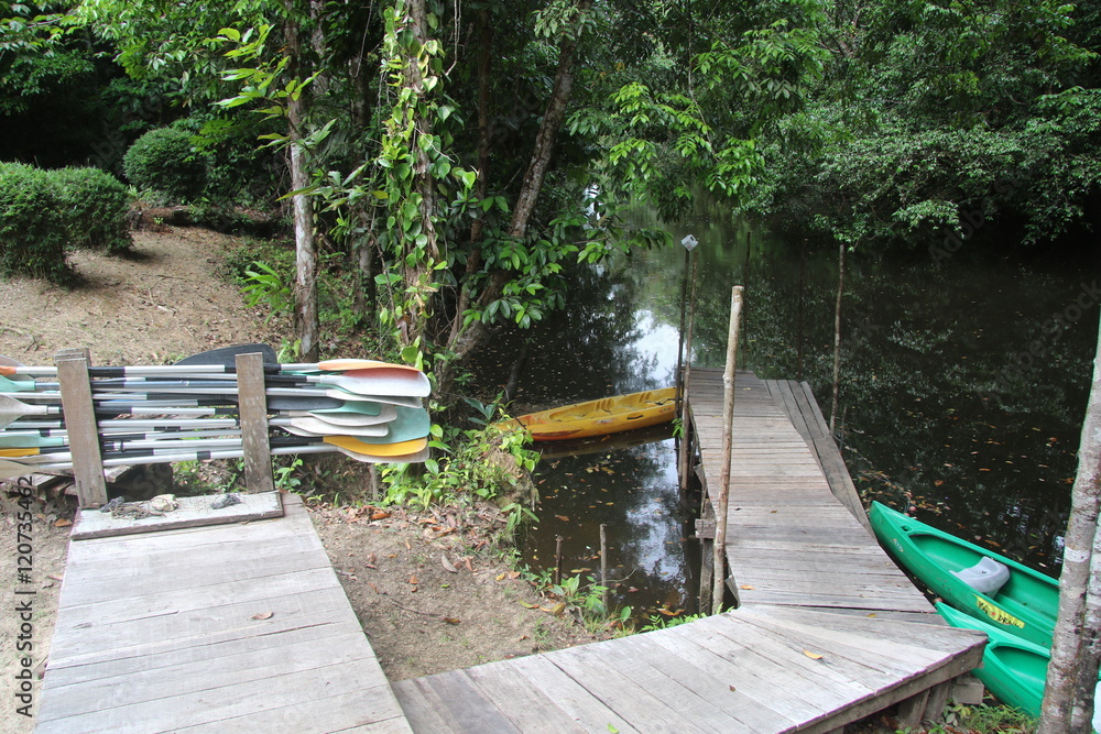 Guyane - Camp Cariacou - Août 2016 Guyane - Camp Cariacou - Août 2016