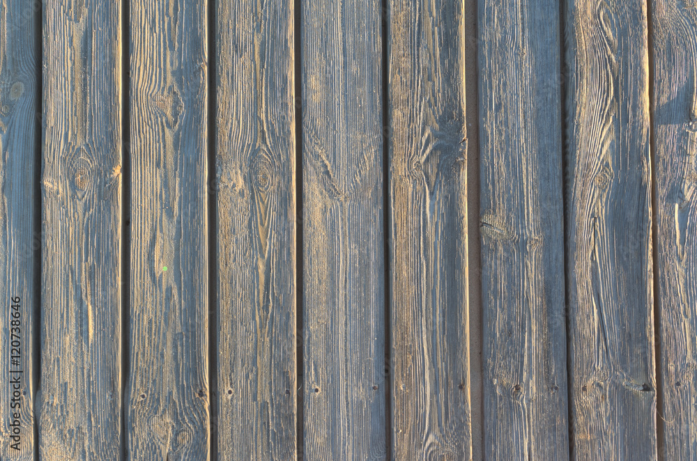 Fototapeta premium Wooden texture