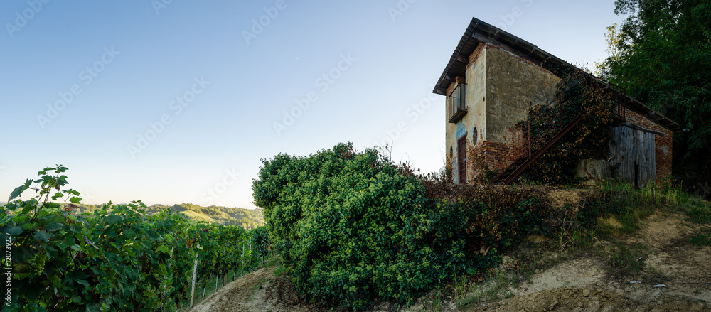 Abandoned Abandoned