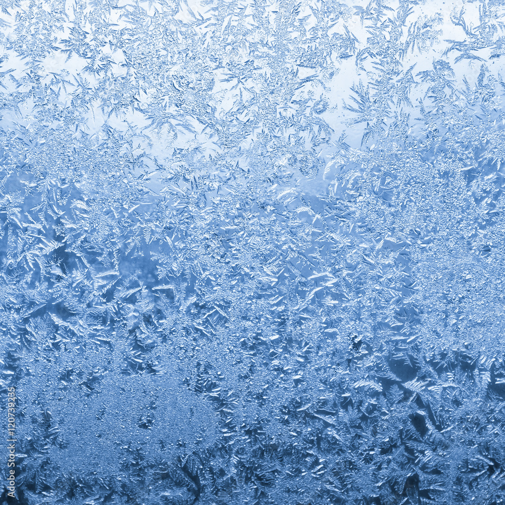 cold winter frost background cold winter frost background