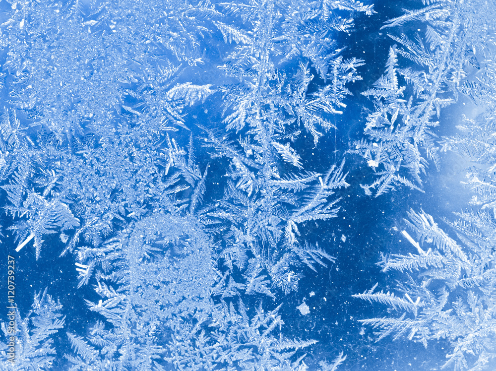 Obraz premium cold winter frost background