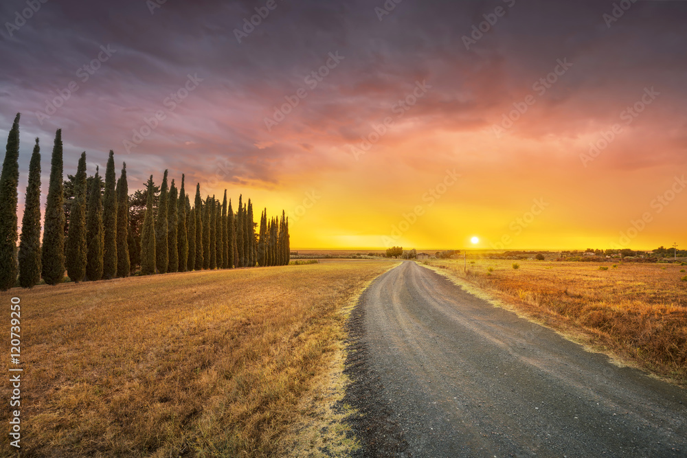 Sunset landscape in bad weather. Rural road and cypress trees. M