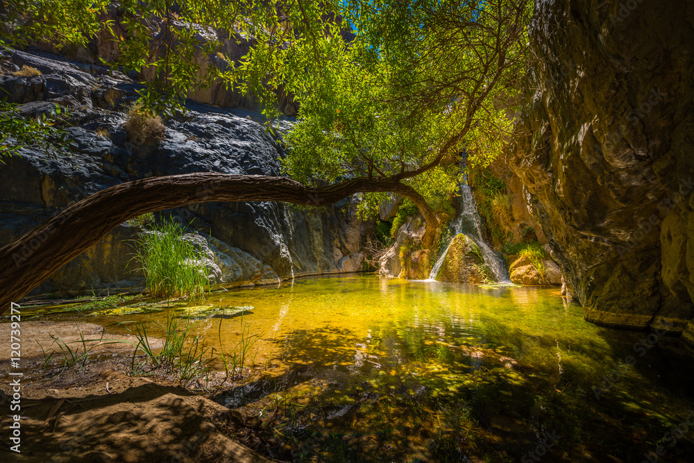 Fototapeta premium Darwin Falls Death Valley