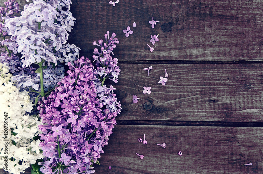 Lilac blossom on rustic wooden background with empty space 