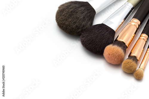 Professional cosmetic brushes