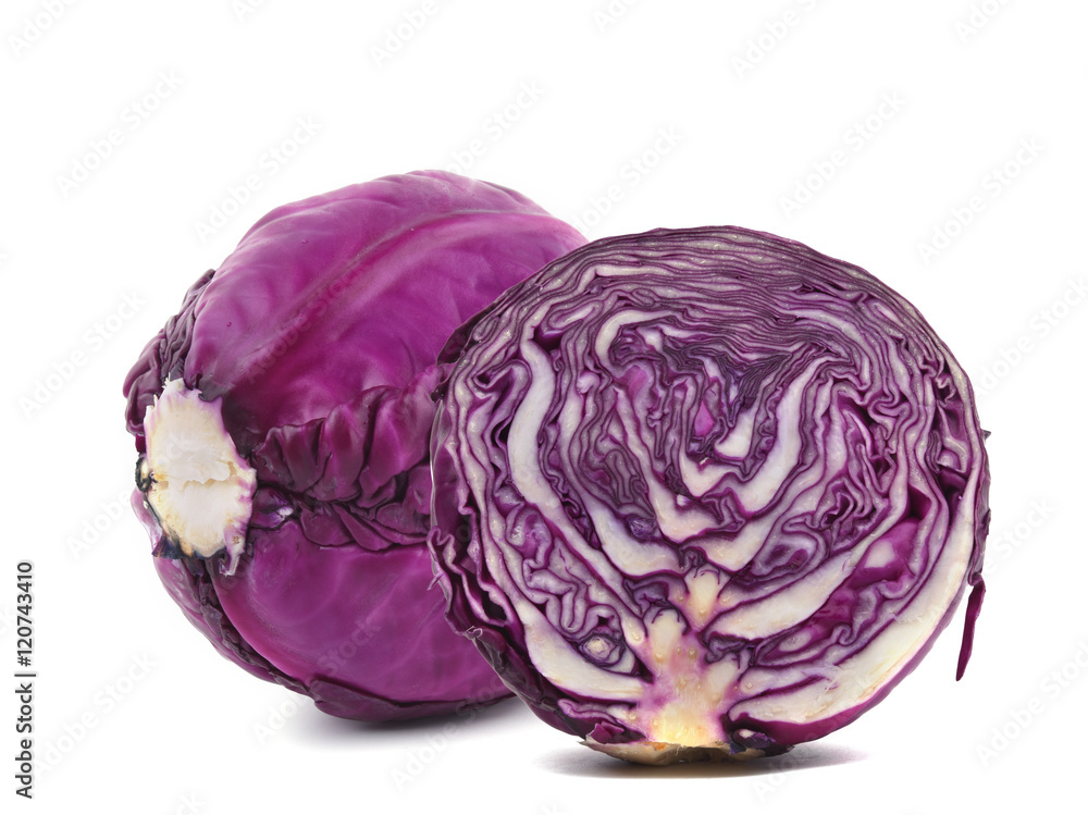 Obraz premium fresh red cabbage on white background