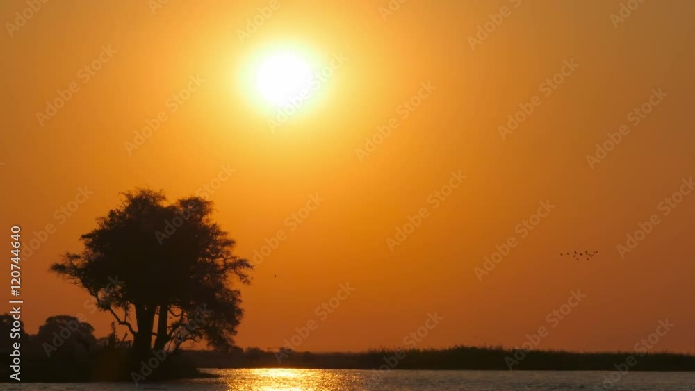 colorful sunset on the okawango river with birds flying across the frame big sun background backlit colorful sunset on the okawango river with birds flying across the frame big sun background backlit