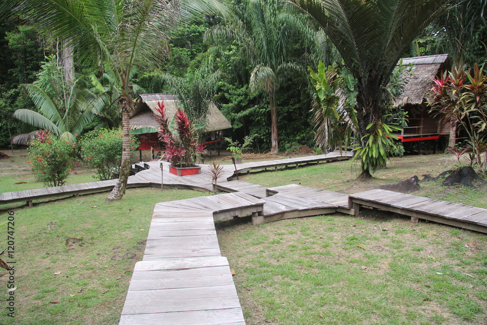Guyane - Camp Cariacou - Août 2016 Guyane - Camp Cariacou - Août 2016