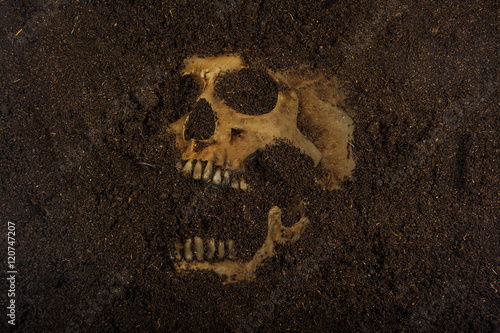 skull buried in the ground