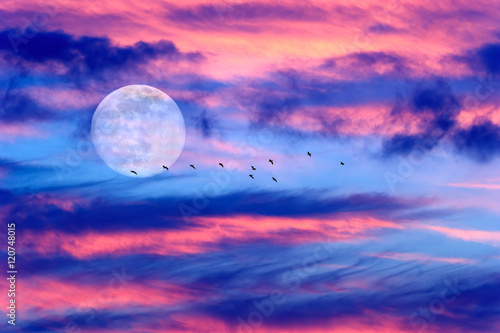 Moon Clouds Birds