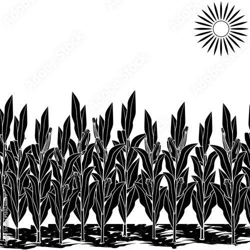 silhouette lawn with corn and shadow